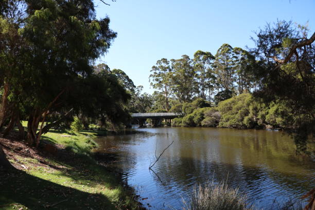 istock The Denmark River in Western Australia, Australia 1217035566