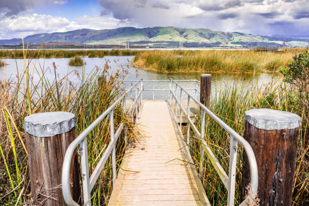 Marsh viewing platform in South San Francisco Bay Area; Mountain Ridge in Diablo Range visible in the background; Don Edwards San Francisco Bay National Wildlife Refuge, San Jose, California