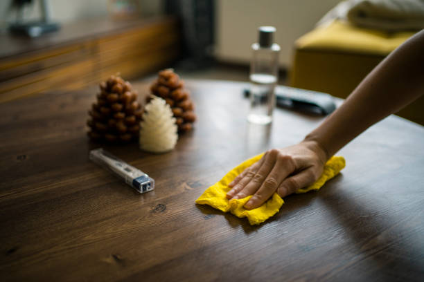 istock woman clean home 1217038844