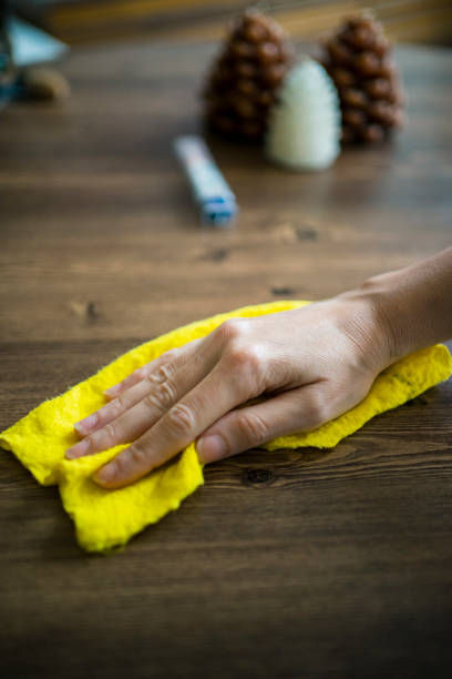 istock woman clean home 1217038859