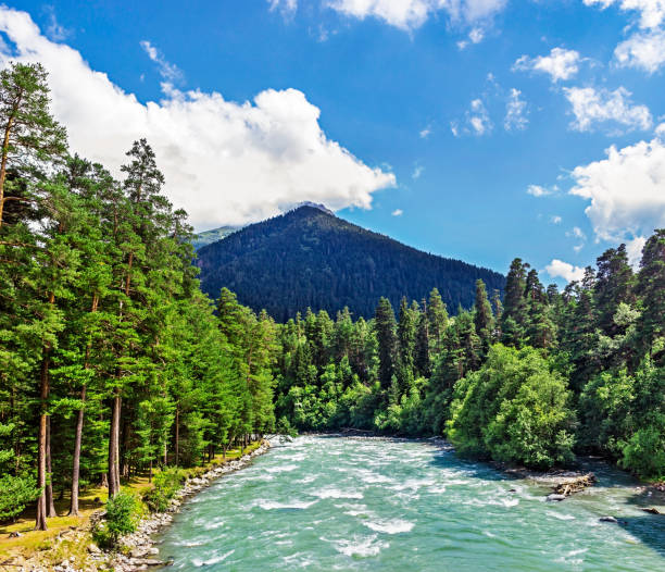 bolshoy zelenchuk river in the caucasus mountains on a summer day stock photo