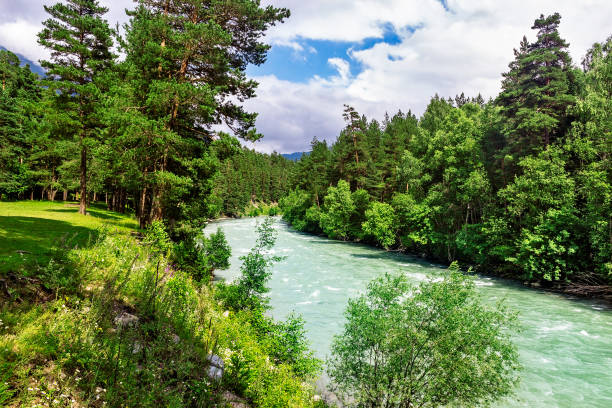 bolshoy zelenchuk river in the caucasus mountains on a summer day stock photo