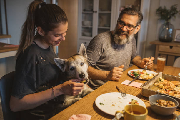 istock Family diner during isolation 1217041739