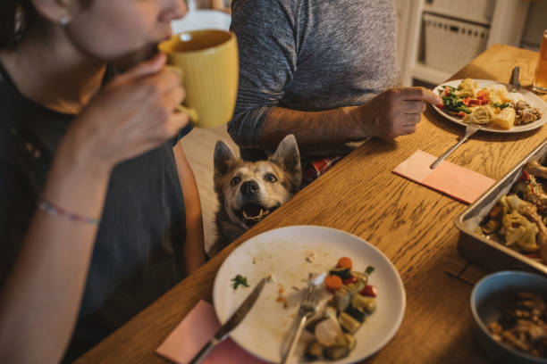 istock Family diner during isolation 1217042315