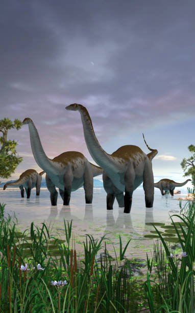 istock Apatosaurus dinosaur herd in shallow water 1217045290
