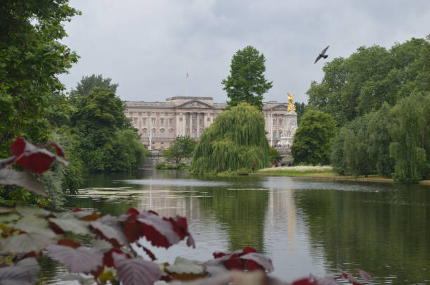 vista di buckingham palace da st. james's park. londra, inghilterra. - london england park whitehall street palace foto e immagini stock