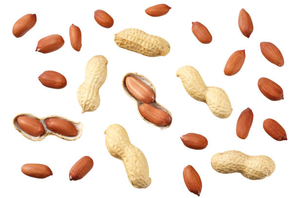 istock Dried peanuts isolated on white background. Food. top view 1217048641