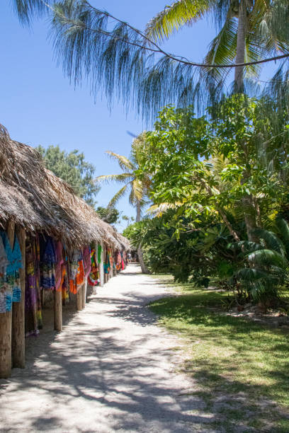istock Market, Mystery Island, Pacific Islands 1217048734