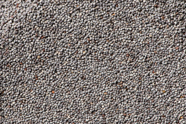 Poppy seeds macro photo for background