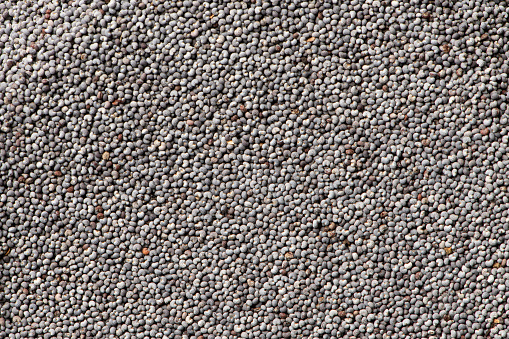 Poppy seeds macro photo for background