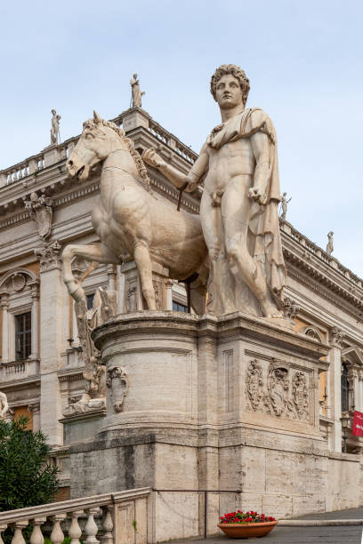 castor - una delle statue di dioscuri in piazza campidoglio - piazza del campidoglio statue rome animal foto e immagini stock