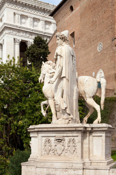 castor - eine der statuen von dioscuri in campidoglio platz - piazza del campidoglio statue rome animal stock-fotos und bilder