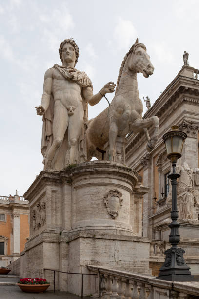 pollux - una delle statue di dioscuri in piazza campidoglio - piazza del campidoglio statue rome animal foto e immagini stock