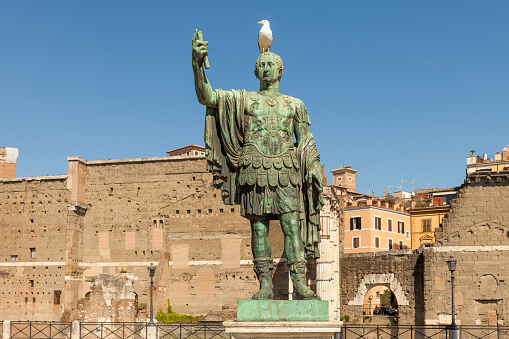 Statue of the Emperor Trajan with seagull on his head  with Trajan's Forum and market on background, Rome,  Italy