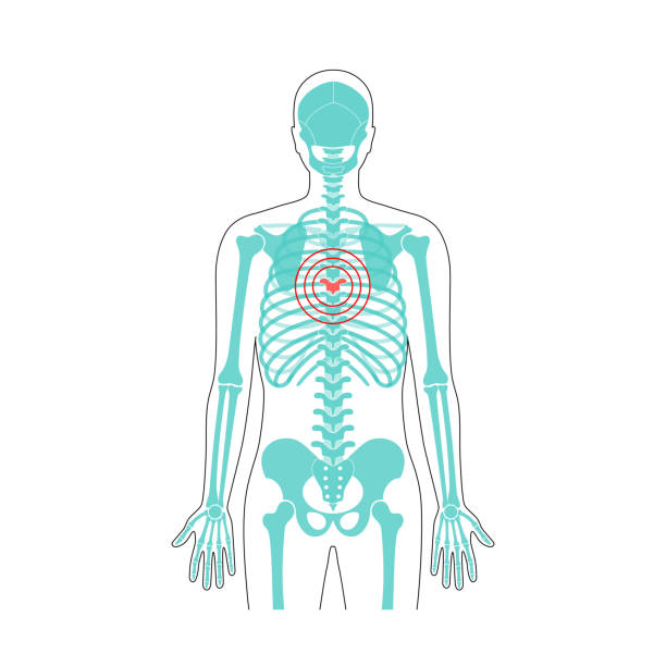 인간의 척추 통증 벡터 일러스트 - osteopath chiropractic adjustment skull massaging stock illustrations