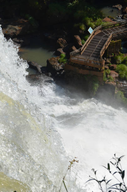 cataratas del iguazú, una importante cascada en la frontera de argentina y brasil. - iguacu falls argentina tropical rainforest rainbow fotografías e imágenes de stock