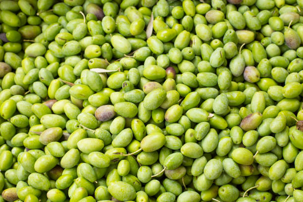 istock Fresh olives - Olea europaea. Top view 1217062635