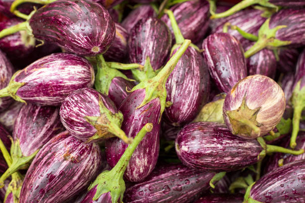 istock Fresh eggplants on the market - Solanum melongena 1217063190