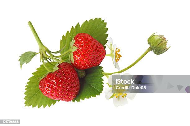 Strawberry Stock Photo - Download Image Now - Strawberry, Flower, Leaf