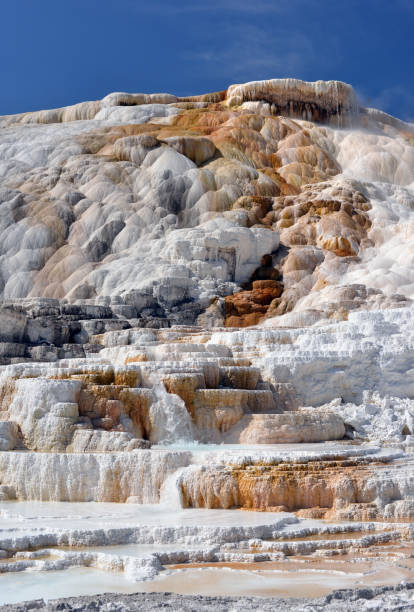 istock Limestone terraces in Yellowstone 1217066916