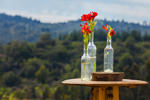 Casablanca, Chile - September 06, 2017: ornament of red flowers in glass bottles and a wineglass over a wooden barrel in a vineyard in Casablanca, Chile.