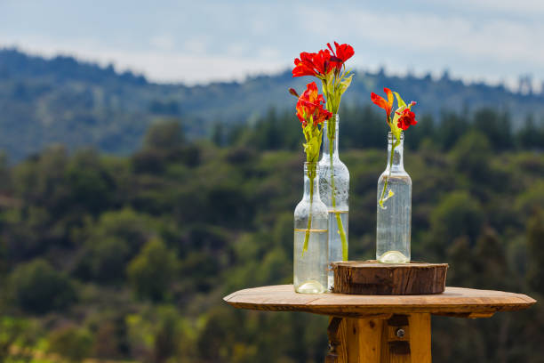 red flowers in glass bottles and a wineglass over a table - wine glass white wine wineglass imagens e fotografias de stock