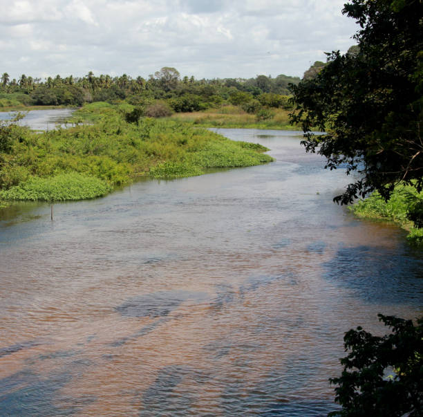 itapicuru river in conde