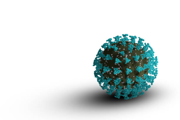 istock Coronavirus 2019-nCoV 3D rendering model. Microscopic view of a infectious virus. 1217071475