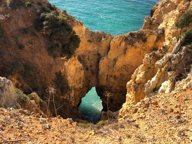 istock Route to the Sea 1217072006