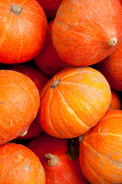Free Stock Photo of Stack of bright orange pumpkins in close-up view ...