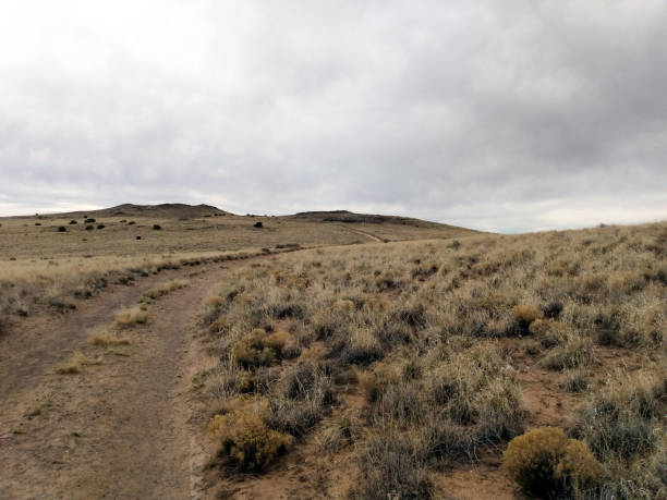 Dirt trail curving through desert chaparral, Petroglyph National Monument, Albuquerque, N.M. Albuquerque, New Mexico, USA - March 15, 2020: Dirt trail curving through desert chaparral under overcast sky at Volcanoes Day Use Area, Petroglyph National Monument. albuquerque volcanoes stock pictures, royalty-free photos & images
