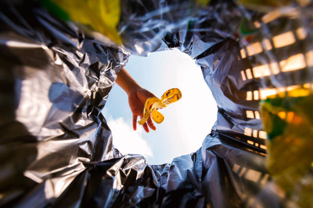 Banana peel was thrown into the garbage bag for disposal. Look from the inside of the basket. Banana peel was thrown into the garbage bag for disposal. Look from the inside of the basket. filing tray stock pictures, royalty-free photos & images