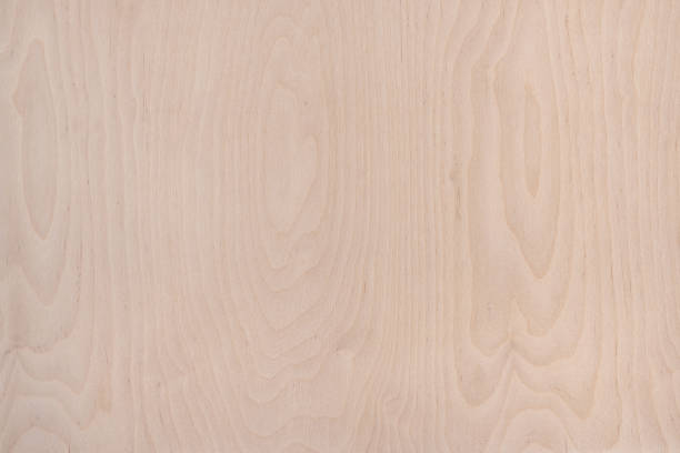 istock Wood texture. Wood background with natural pattern for design and decoration. 1217084978