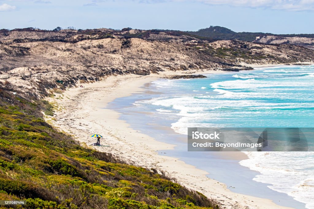 After the terrible fire: Hanson Bay, Kangaroo Island Idyllic Hanson Bay, Kangaroo Island with bushfire devastated sand dunes in the background and untouched vegetation in the foreground. On the beach a solitary unidentified figure is attending to a beach umbrella. Bay of Water Stock Photo