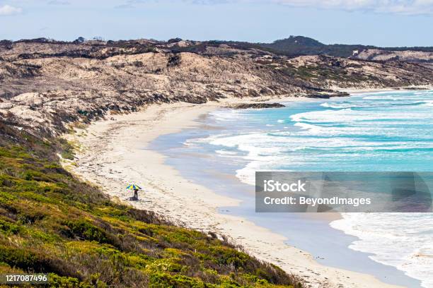 After The Terrible Fire Hanson Bay Kangaroo Island Stock Photo - Download Image Now