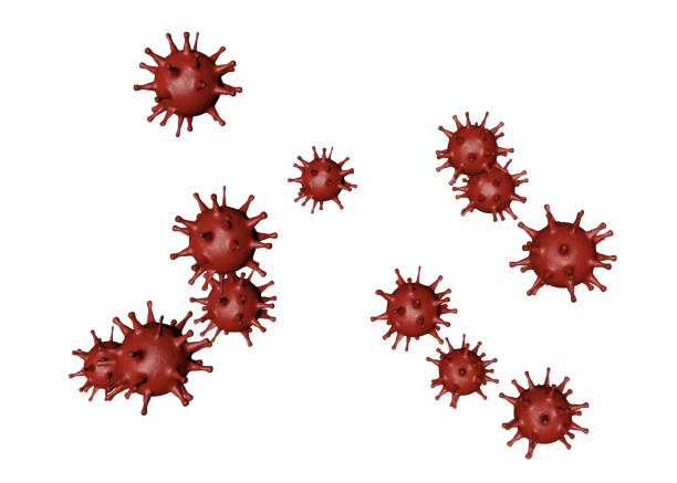 istock Coronavirus 2019-ncov isolated on white. 1217087592