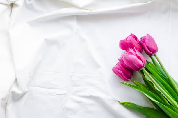 Pink tulips on white bed honeymoon. Romantic surprise Valentine's Day in bed. Top view. Copy space.