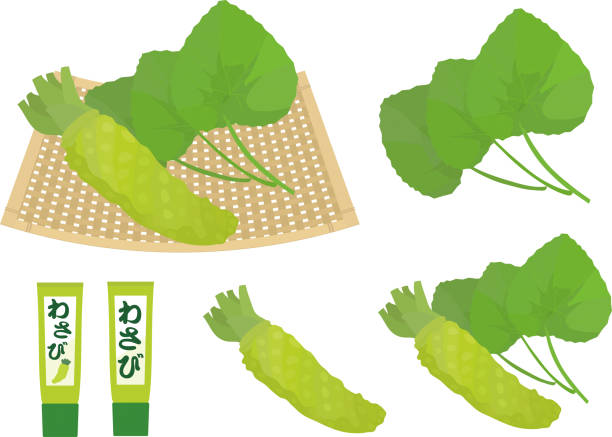 와사비와 바구니에 와사비 페이스트를 넣은 나뭇잎의 벡터 일러스트. - wasabi stock illustrations