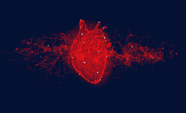 Futuristic medical concept with red human heart Futuristic medical concept with red human heart. Abstract geometric design with plexus effect on blue background. Healthcare and cardiology banner with copy space. pics for heart shape design stock illustrations