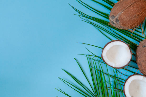 istock Coconuts whole and halved. With palm leaves on a blue background. View from above. Place for text. Flat lay. 1217096206