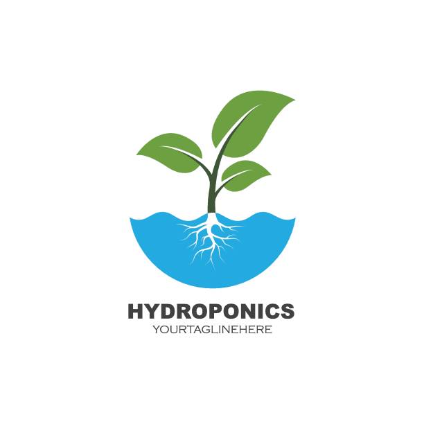 гидропоника логотип вектор иллюстрации дизайн - aeroponics stock illustrations
