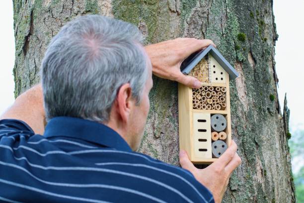 istock Man installing insect hotel. Environmental conservation - insect house. 1217099379