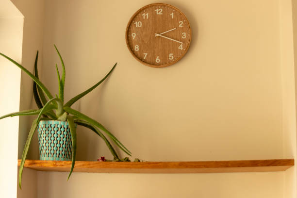 istock lock on the wall with a plant on the first shelf 1217100465