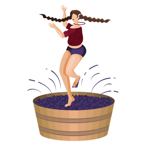 illustrazioni stock, clip art, cartoni animati e icone di tendenza di la giovane donna del villaggio sta schiacciando l'uva con i piedi mentre balla in grande vasca di legno - mature women isolated mature adult women