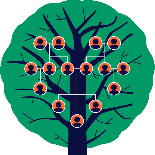 ilustrações de stock, clip art, desenhos animados e ícones de family tree of your family. - origins oak tree growth plant