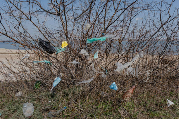 istock Coronavirus (COVID-19) is contributing to pollution, as discarded face masks clutter urban parks & streets of the city along with plastic and other trash. Ecological pollution problem 1217108633