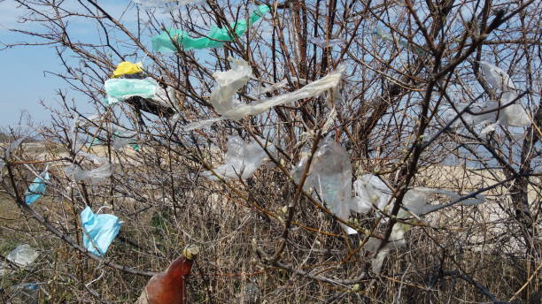 istock Coronavirus (COVID-19) is contributing to pollution, as discarded face masks clutter urban parks & streets of the city along with plastic and other trash. Ecological pollution problem 1217108705