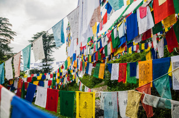 istock Tibetan flags hanging on the mountain 1217110429