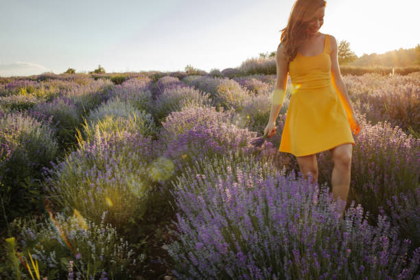 istock Joyful summer day  in the countryside 1217111338