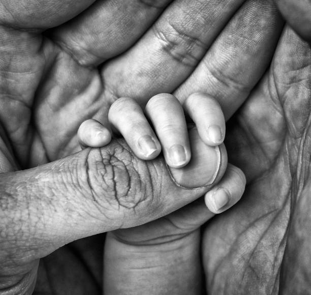 istock Small hand in adult palm 1217114386